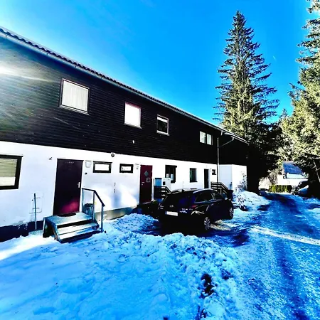 White Rabbit بيت للعطل